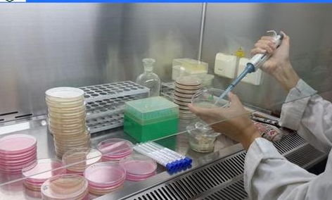 出口化妆品含甲基异噻唑啉酮成分的合规应对策略